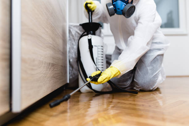 Best Affordable Pest Control Services  in Finley, WA