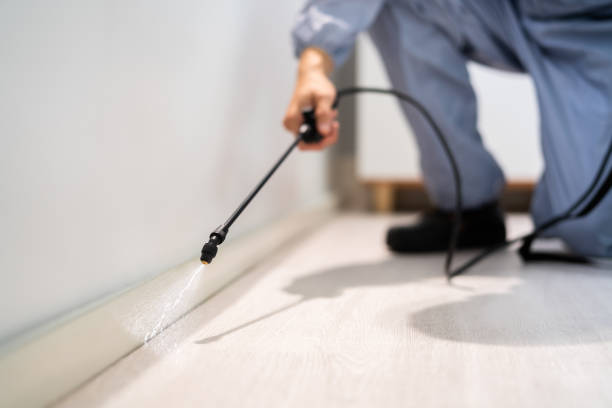 Best Cockroach Control Services  in Finley, WA