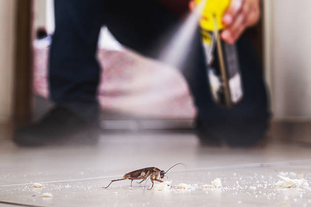 Best Rat Extermination Near Me  in Finley, WA
