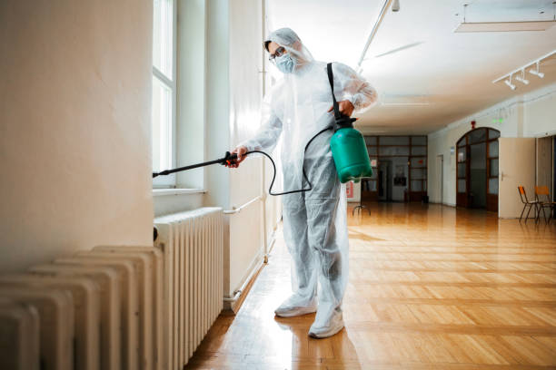 Best Termite Control Services  in Finley, WA