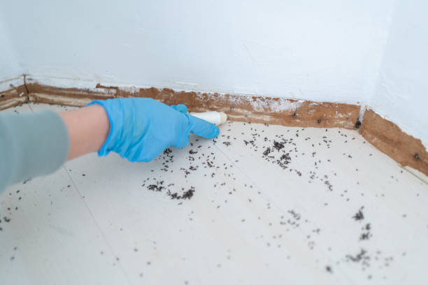 Best Bed Bug Extermination  in Finley, WA